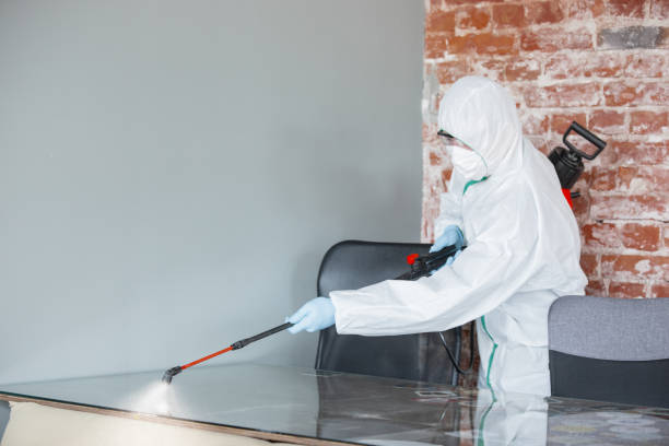 Best Mold Damage Restoration  in Tyndall Af, FL