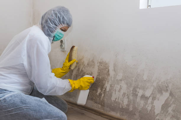 Best Mold Removal for HVAC Installations  in Tyndall Af, FL